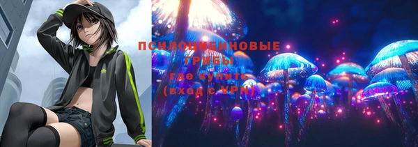 jwh Гусиноозёрск
