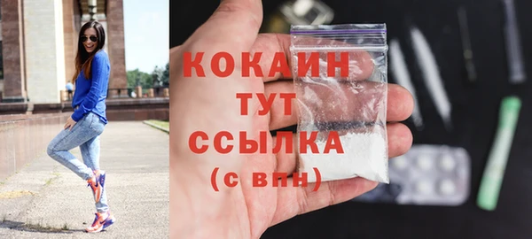 сатива Гусь-Хрустальный