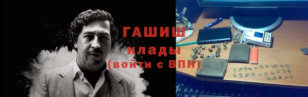 сатива Гусь-Хрустальный