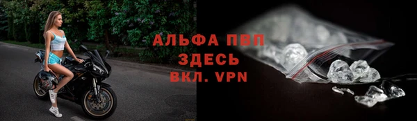 сатива Гусь-Хрустальный