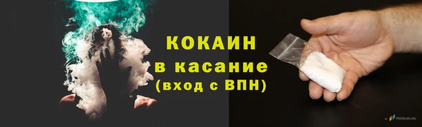 сатива Гусь-Хрустальный
