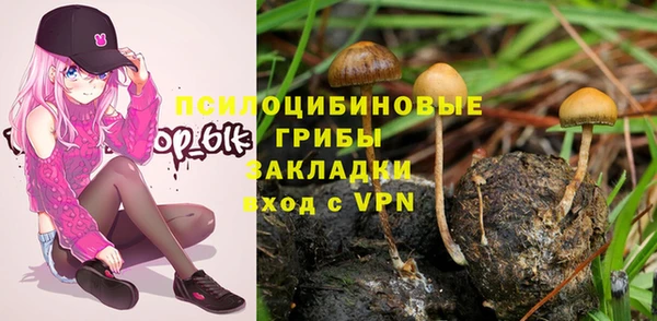 jwh Гусиноозёрск
