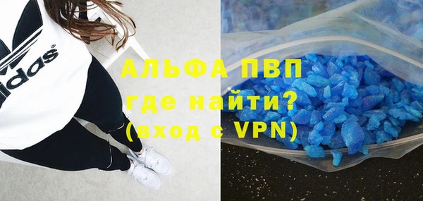 сатива Гусь-Хрустальный